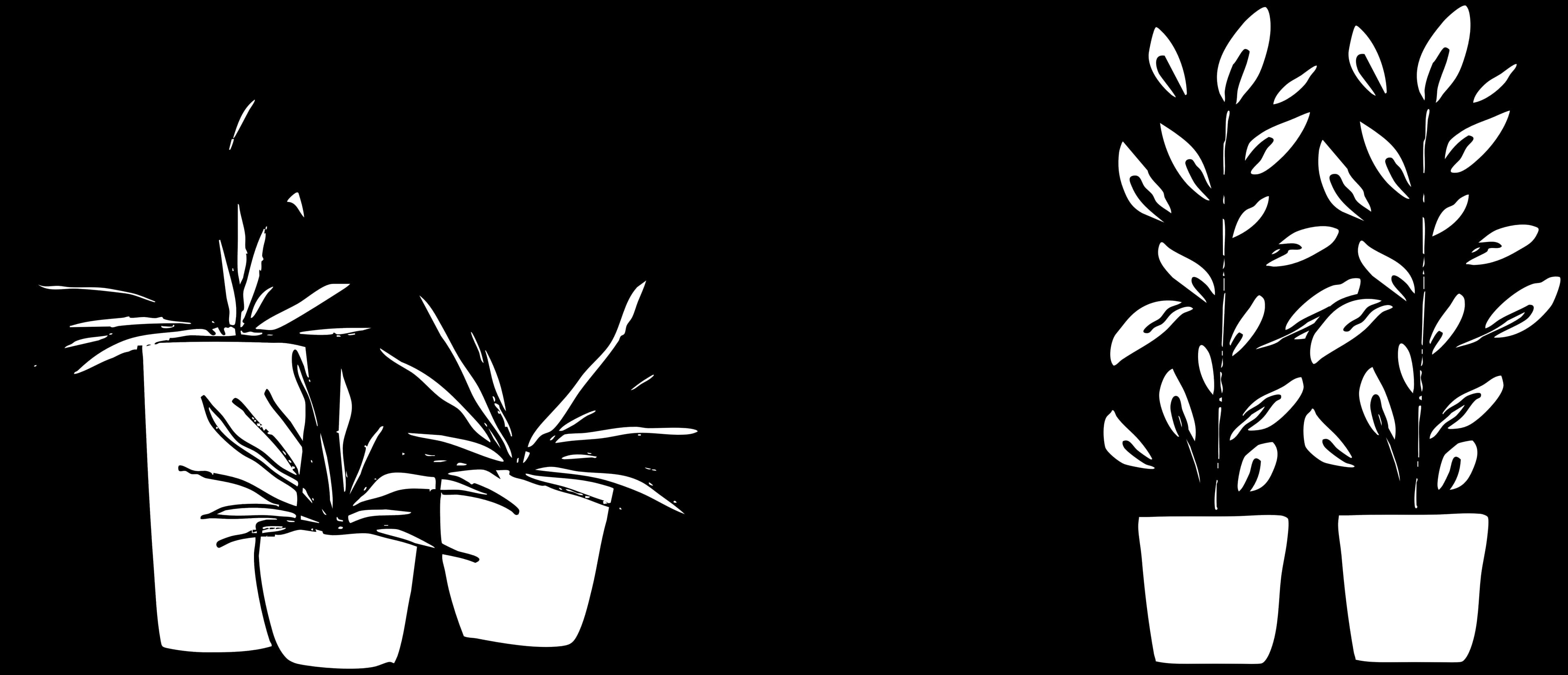 A combined grass trio and plant duo offering shown in a two-column layout.