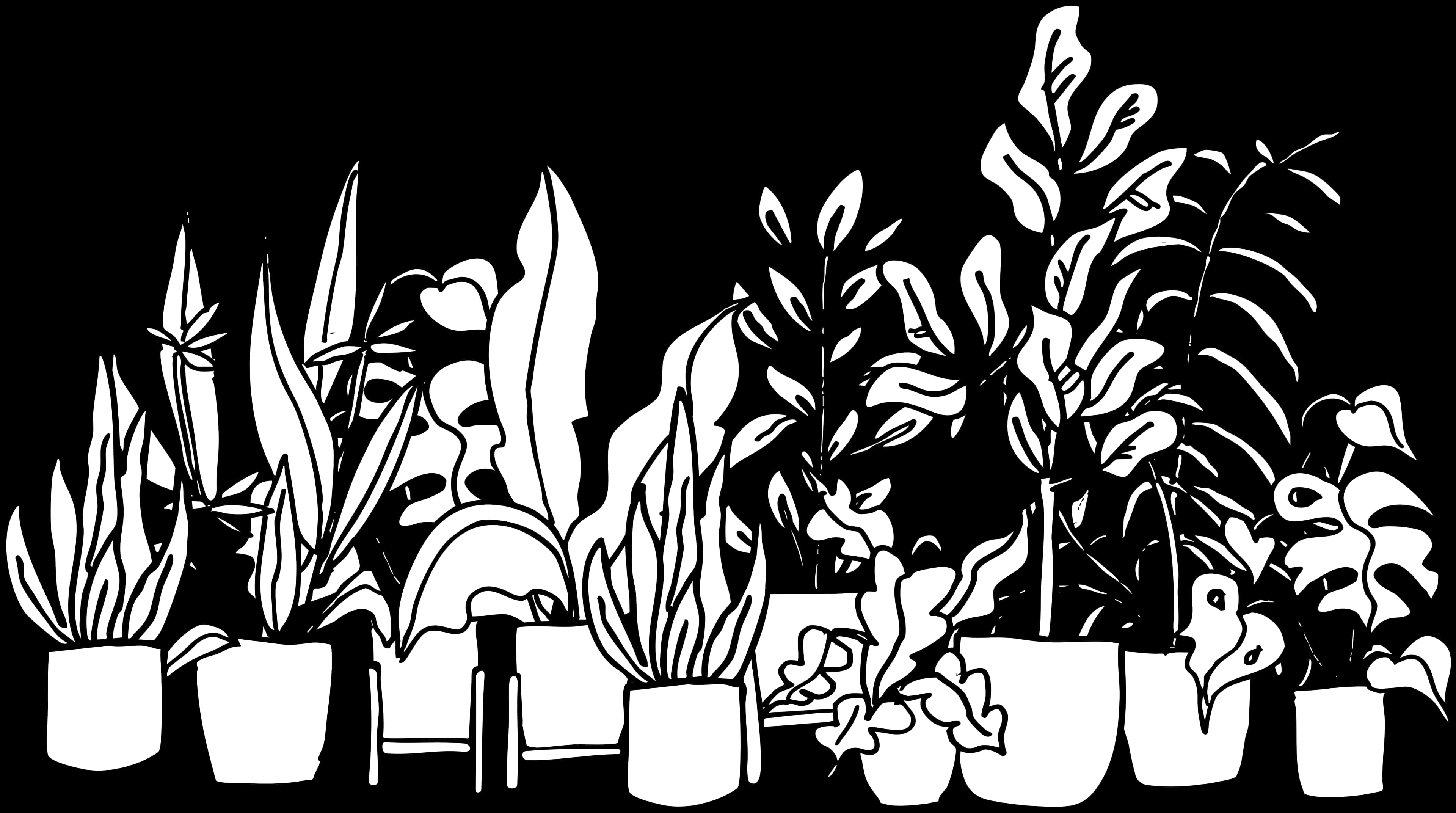 A plant divider with potted plants arranged in a large partition.