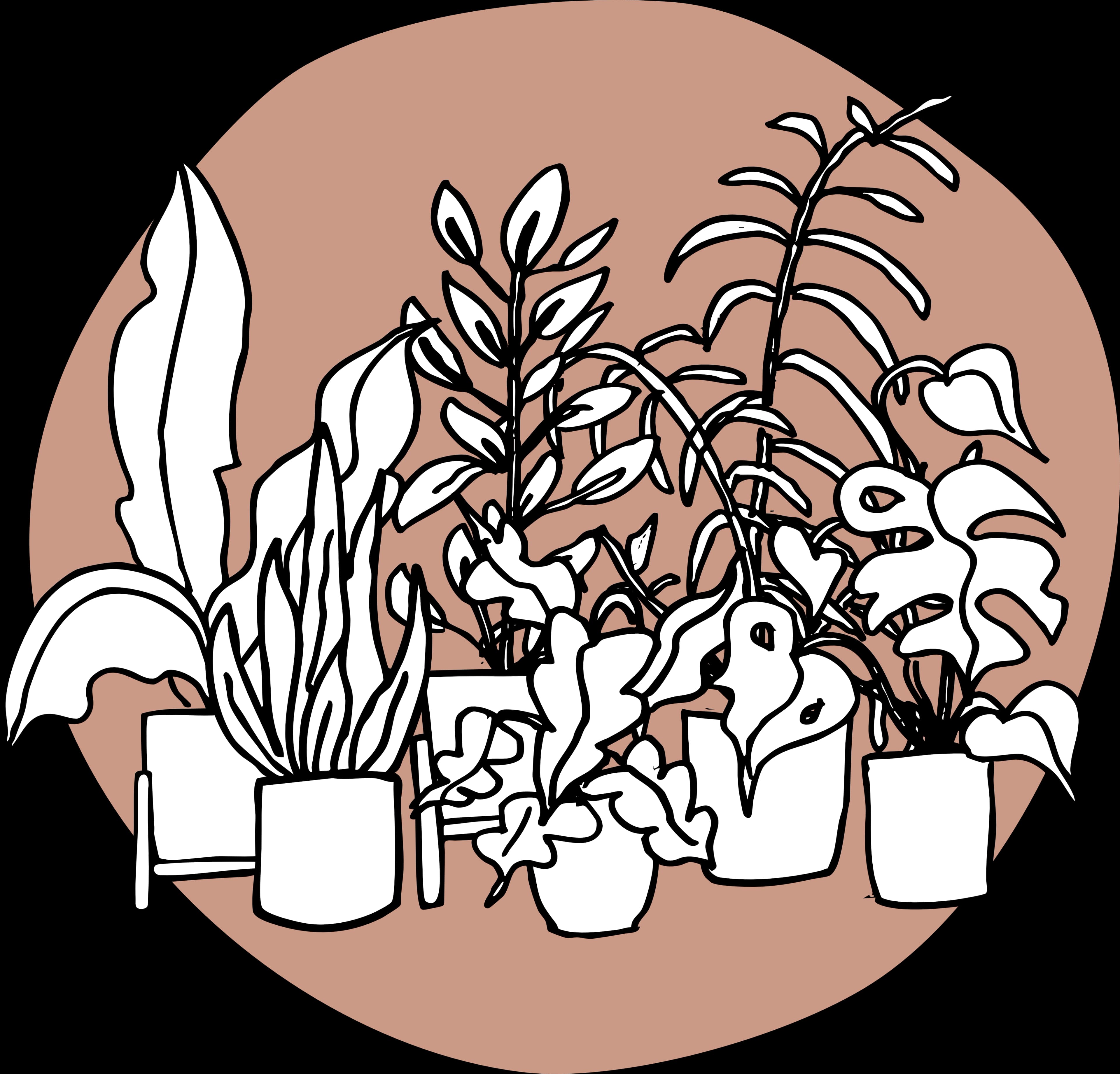 Decorative botanical illustration standing in for the rent enjoy return process artwork.