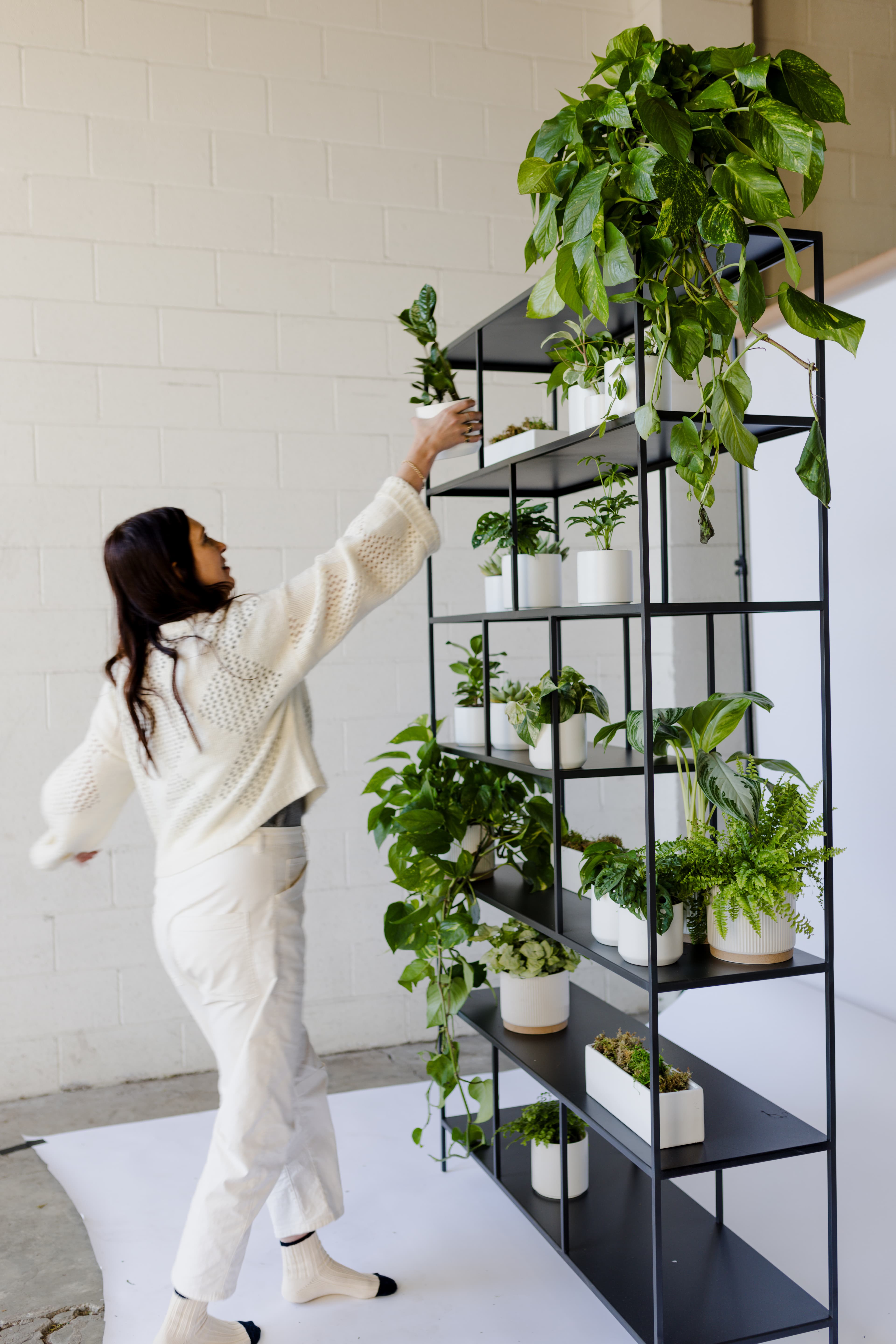 Botanical Walls plant styling by The Plant Library.