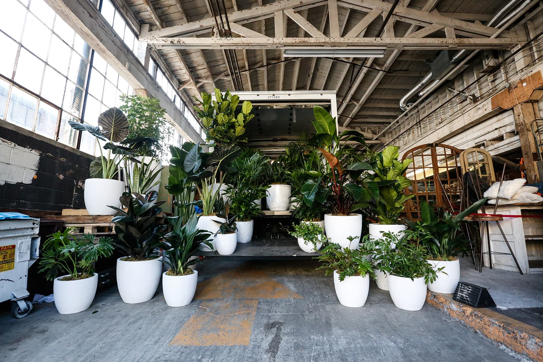 Botanical Walls plant styling by The Plant Library.