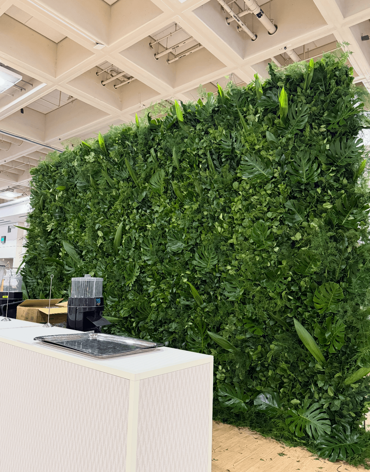 Botanical Walls plant styling by The Plant Library.