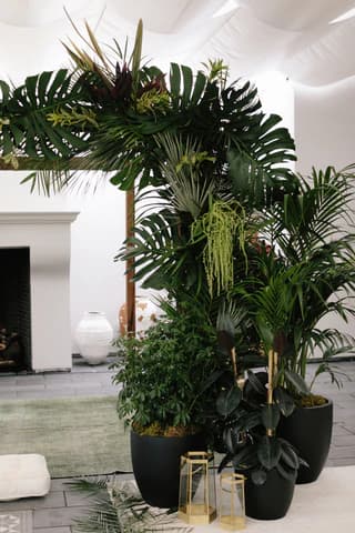 Custom Work plant styling by The Plant Library.