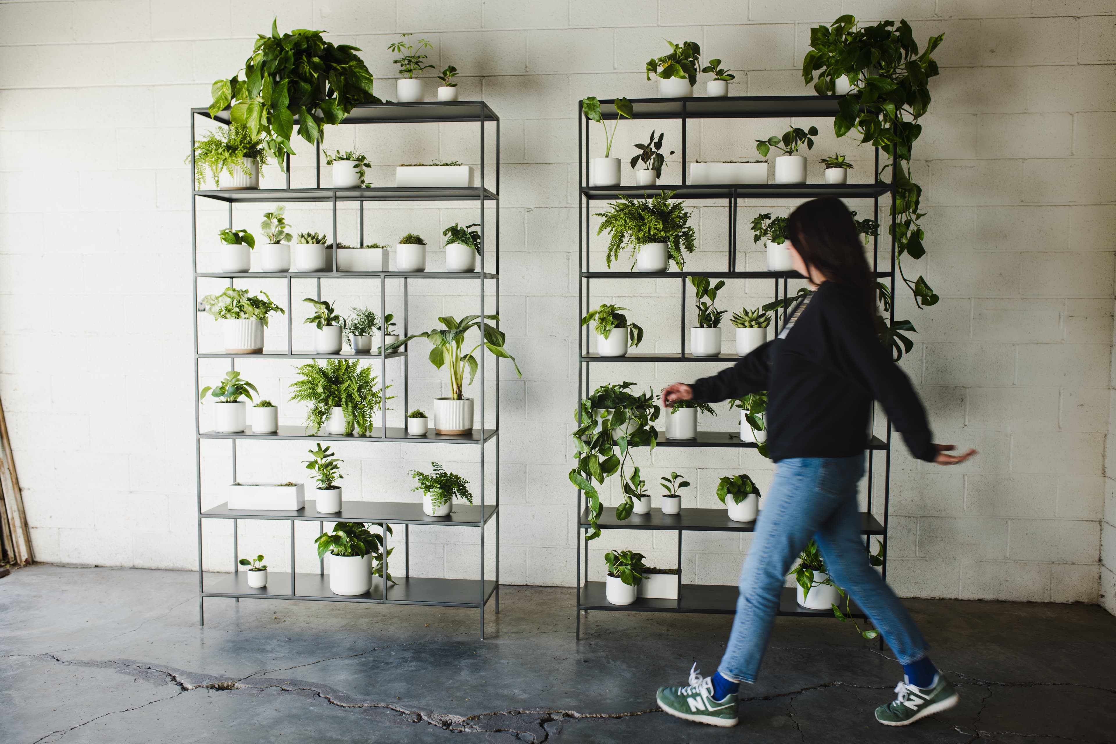 White plant styling by The Plant Library.