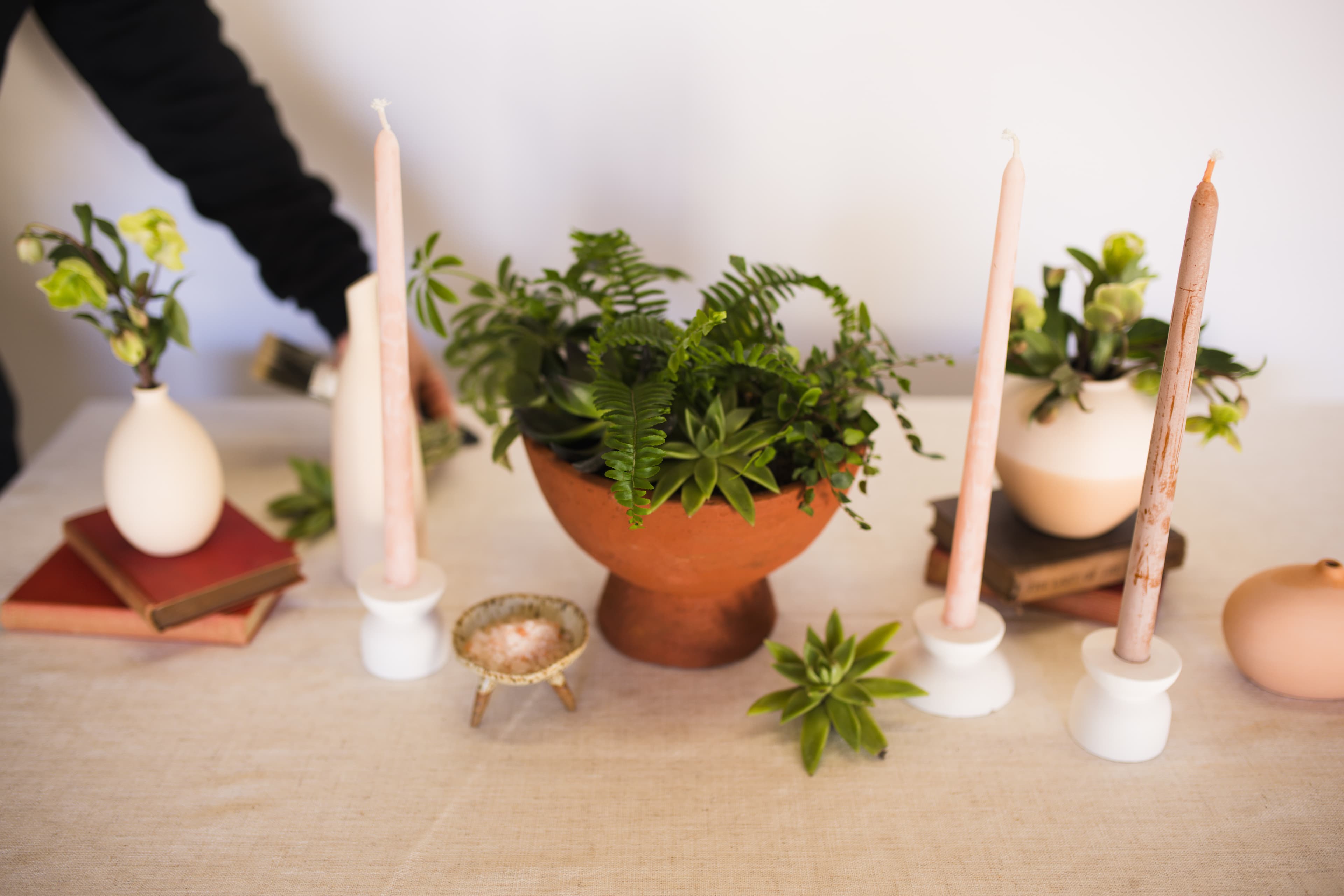 Tabletop plant styling by The Plant Library.