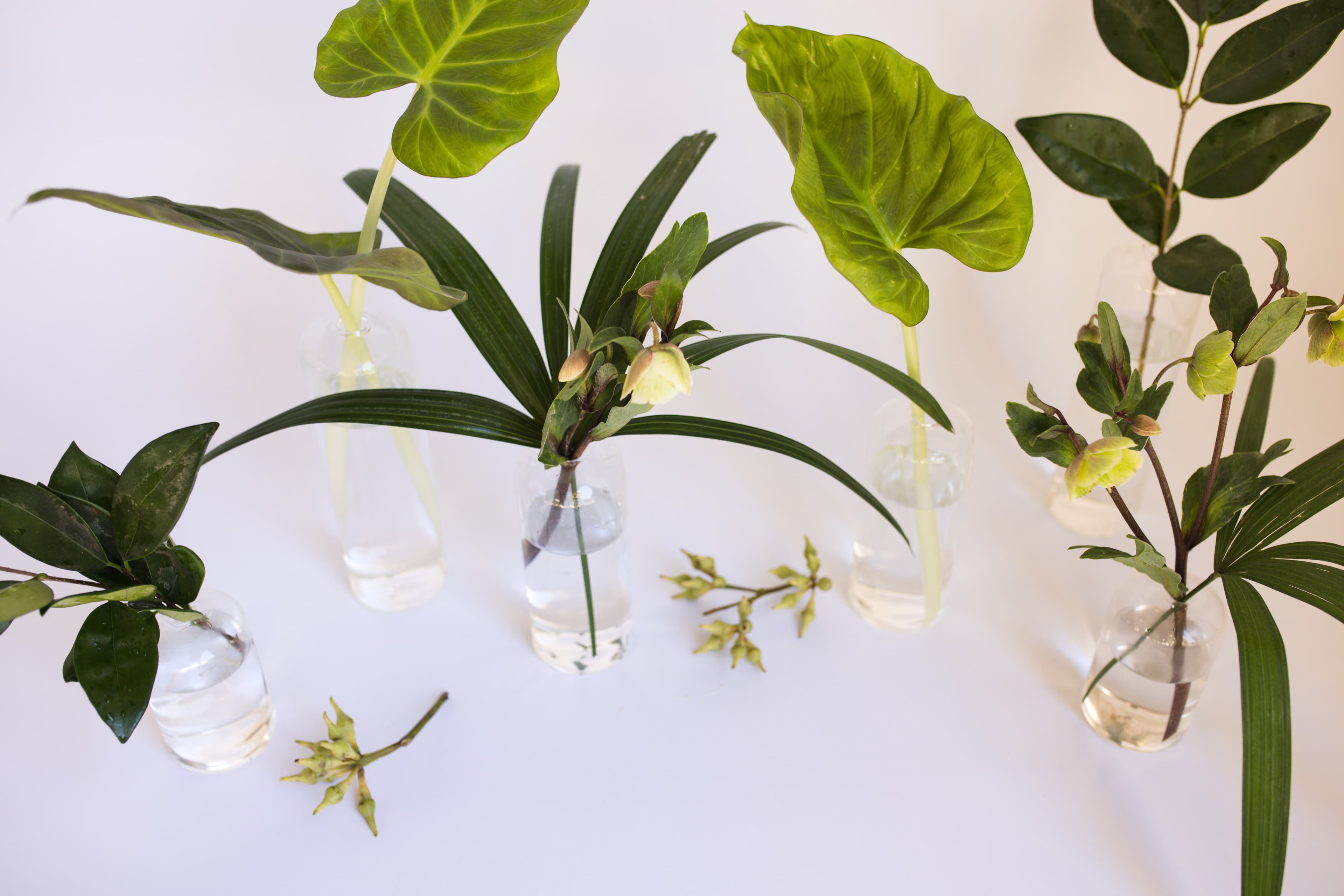 Tabletop plant styling by The Plant Library.