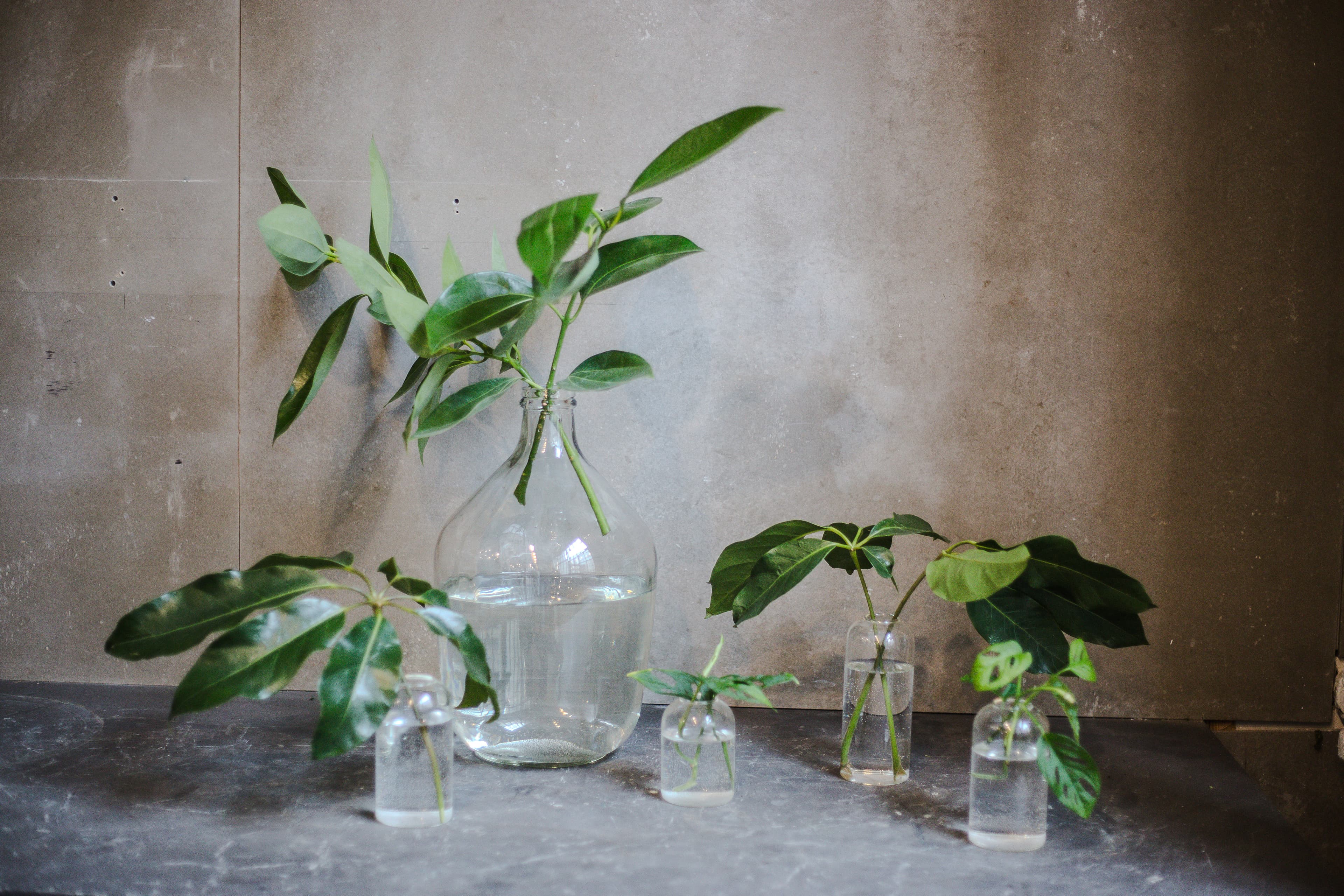 Tabletop plant styling by The Plant Library.