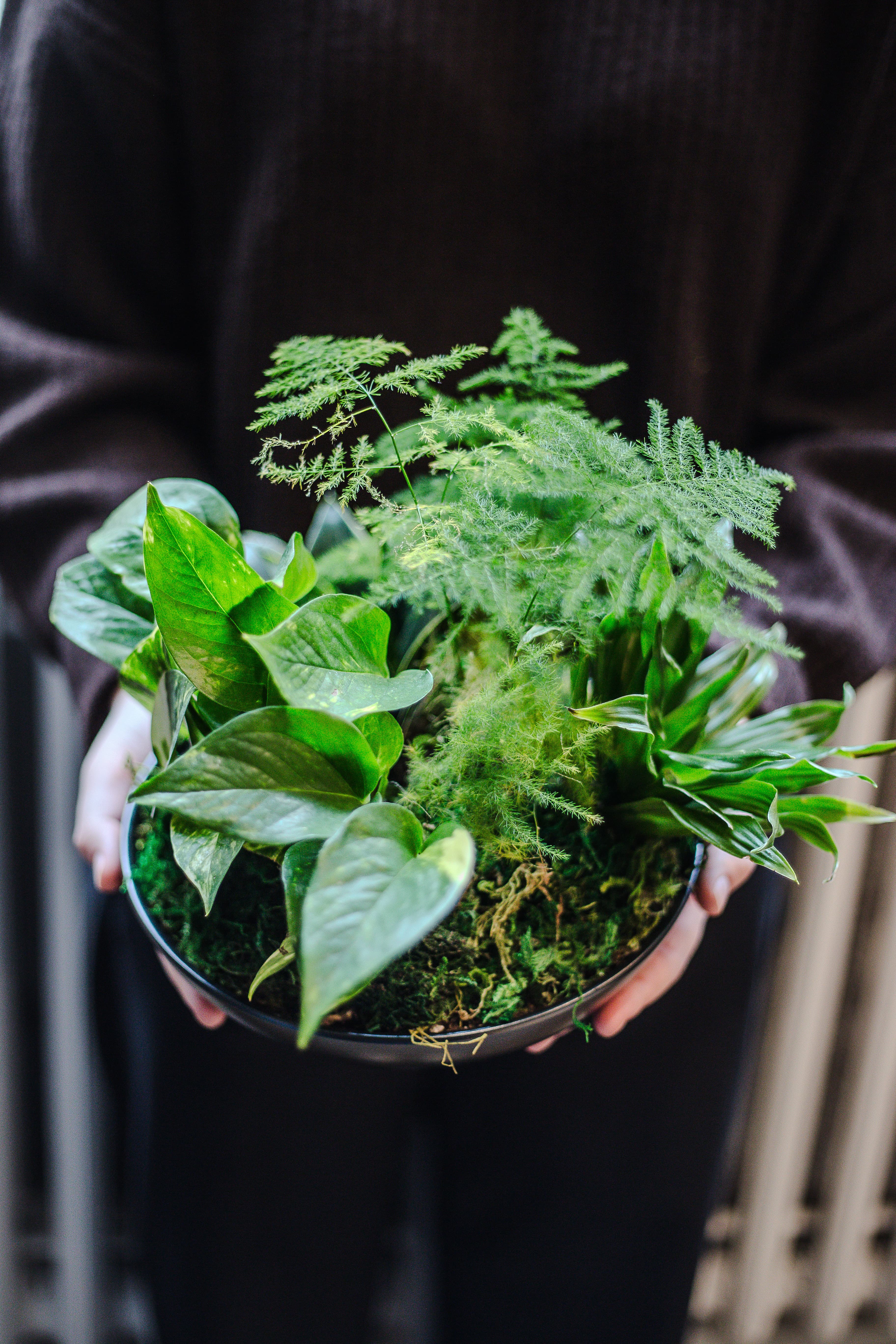 Tabletop plant styling by The Plant Library.