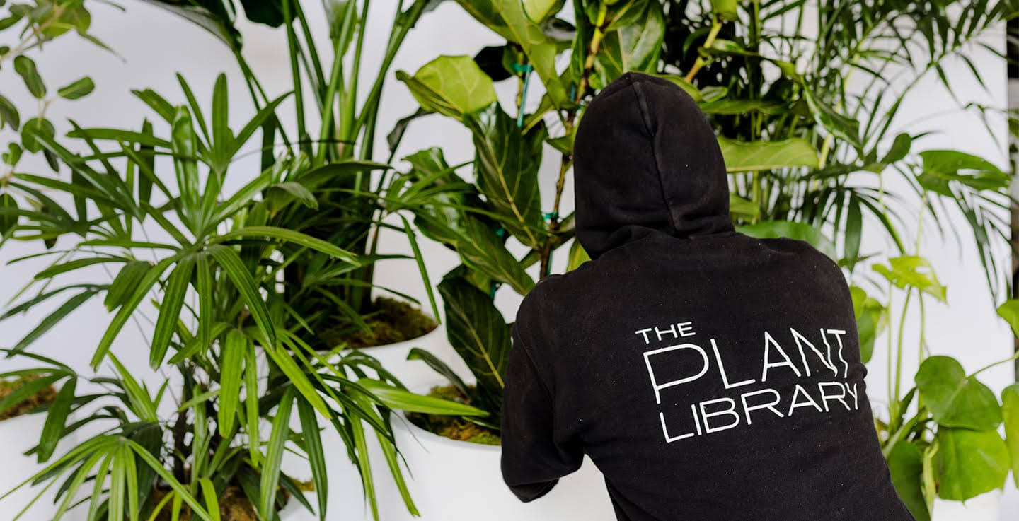 Lush event plant styling by The Plant Library.